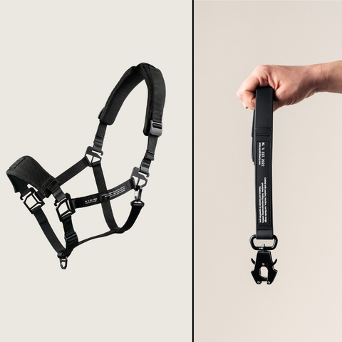 HALTER BUNDLE 4