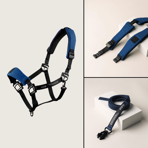 HALTER BUNDLE 1