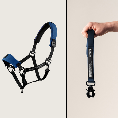 HALTER BUNDLE 4