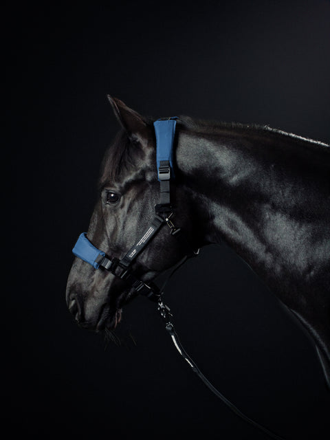 HALTER 1.0 - Arctic Navy