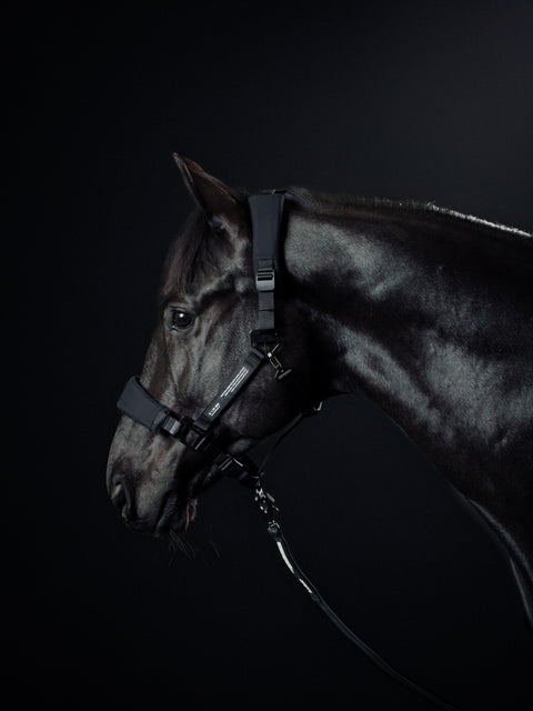 HALTER 1.0 - Deep Black