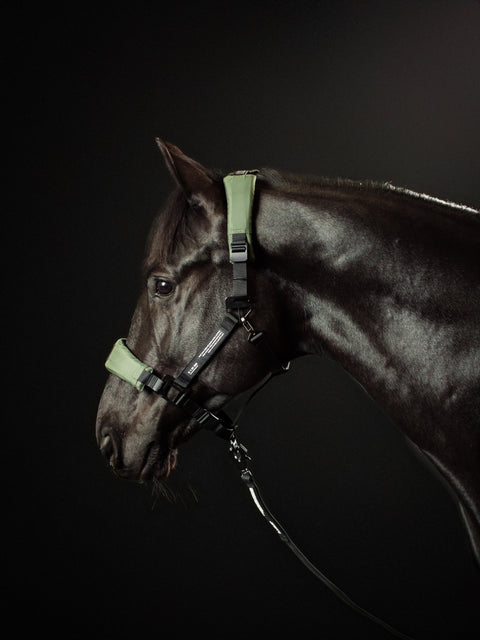 HALTER 1.0 - Nordic Green - X FULL