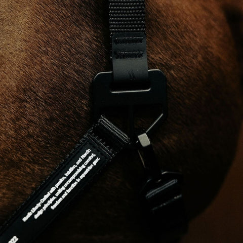 Innovative buckles