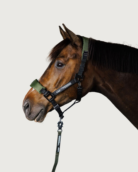 HALTER 2.0 - Nordic Green