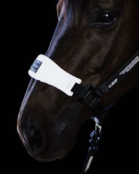 STRAP SET - Reflective