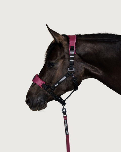 HALTER 2.0 - Wild Plum