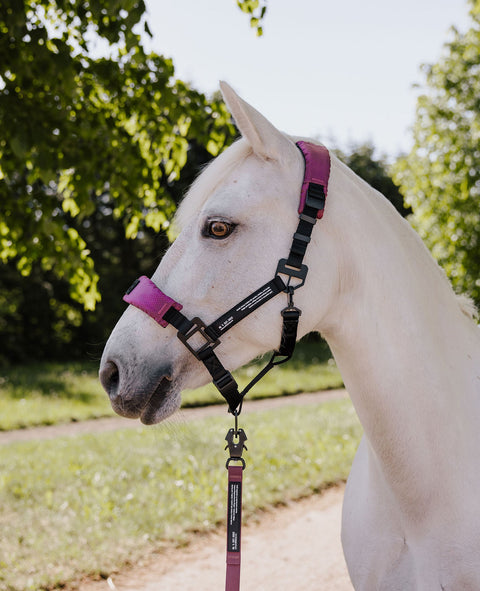 HALTER 2.0 - Wild Plum