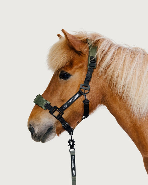 HALTER 2.0 - Nordic Green