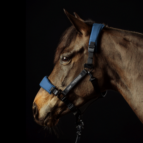 HALTER 1.0 - Arctic Navy - COB