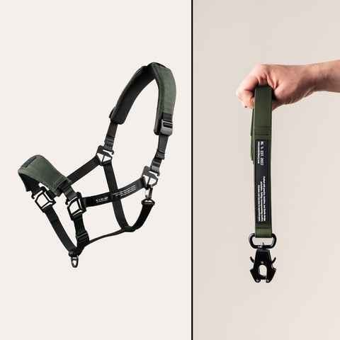 HALTER BUNDLE 4