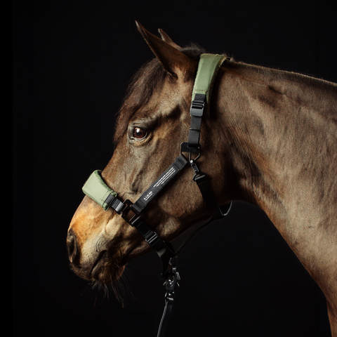 HALTER 1.0 - Nordic Green - X FULL