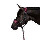 Let og holdbar grime til hest – Nordic Liberty Halter 2.0