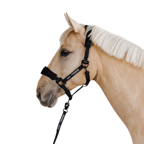 Premium grime til hest fra Nordic Liberty – Halter 2.0 i tre farver