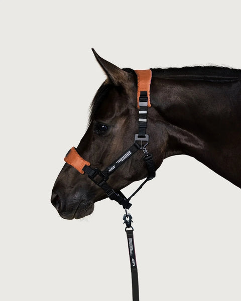 HALTER 2.0 - halter - Raw Copper