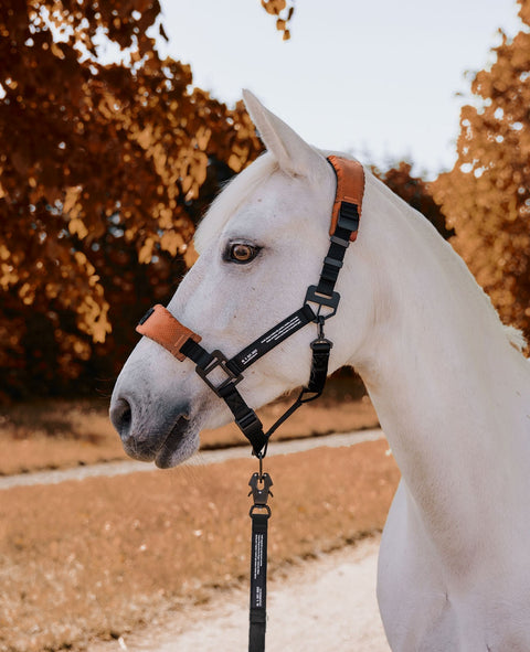 HALTER 2.0 - halter - Raw Copper