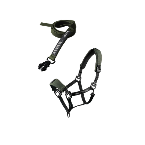 Hest med HALTER 2.0 og leadrope i daglig brug i stalden