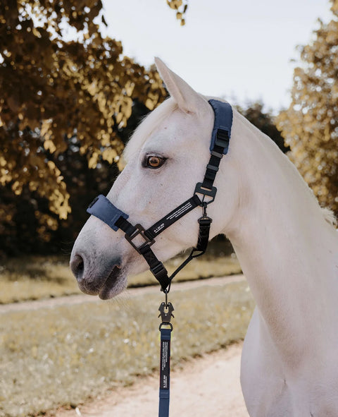 HALTER 2.0 - halter - Arctic Navy