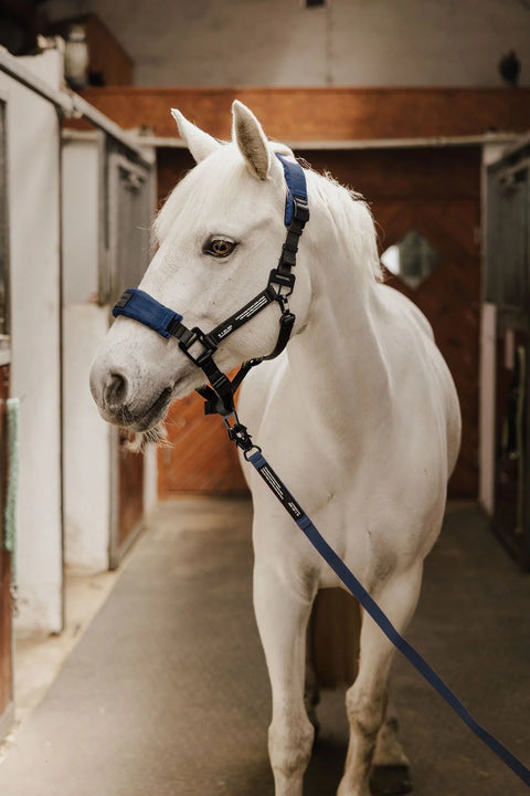 HALTER 2.0 - halter - Arctic Navy
