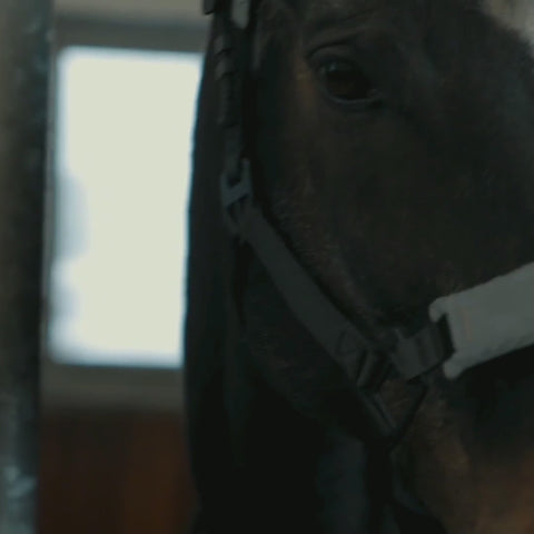 STRAP SET - Reflective