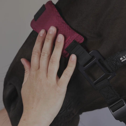 HALTER 2.0 - Nordic Green